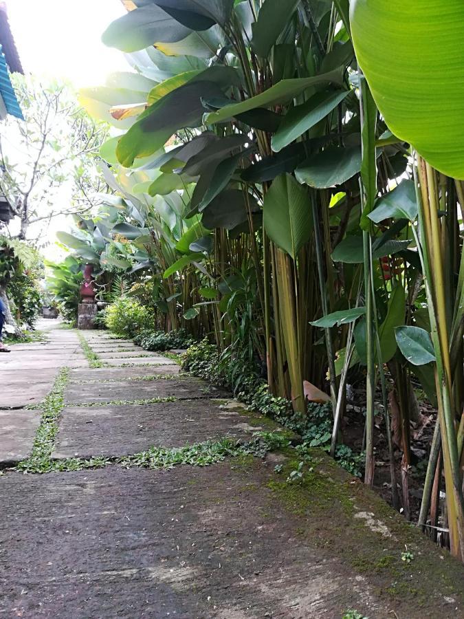 Inn Shiva House